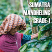 Sumatra,Mandhering,G1
