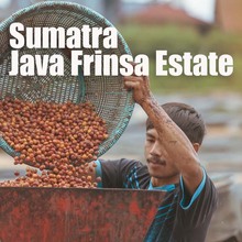 Sumatra Java Frinsa Estate