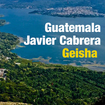 Guatemala Geisha