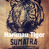 Sumatra,Harimau,Tiger