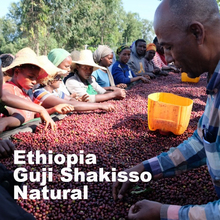 Ethiopia Guji Shakisso