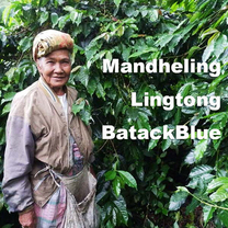 Mandheling BatackBlue