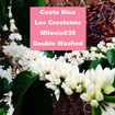 Costa Rica Los Crestones
