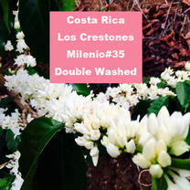 Costa Rica Los Crestones