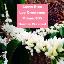 Costa Rica Los Crestones