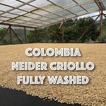 コロンビア・ネイデル・クリオジョ