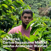 Honduras Carlos Sagastume Madrid geisha