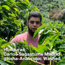Honduras Carlos Sagastume Madrid geisha