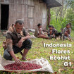 Indonesia Flores Tcohut G1