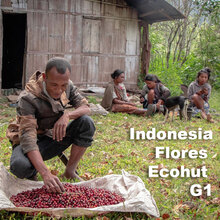 Indonesia Flores Tcohut G1